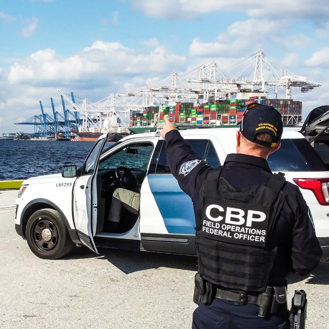 Image representing global transport network